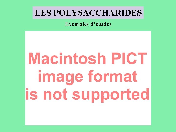 LES POLYSACCHARIDES Exemples d’études 