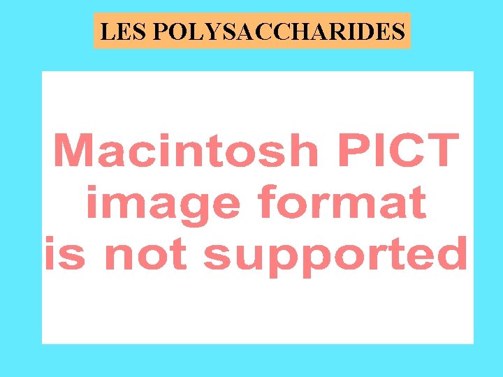 LES POLYSACCHARIDES 