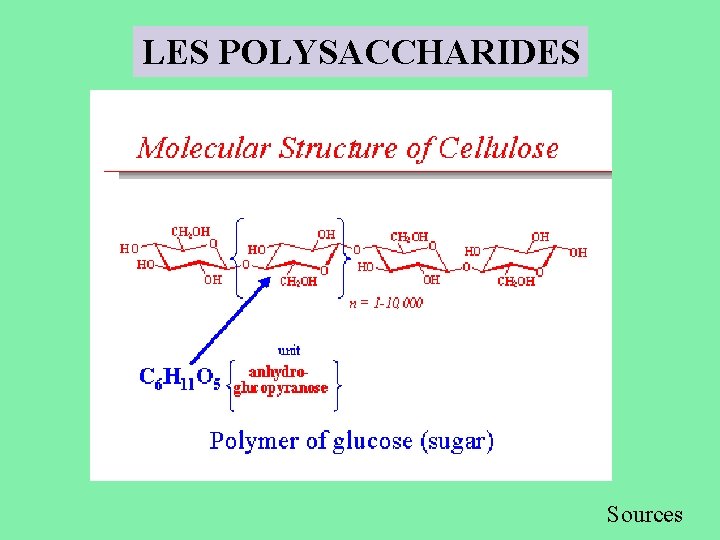 LES POLYSACCHARIDES Sources 