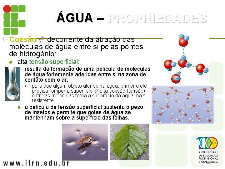 ÁGUA – PROPRIEDADES 1 - 1 - Coesão decorrente da atração das moléculas de