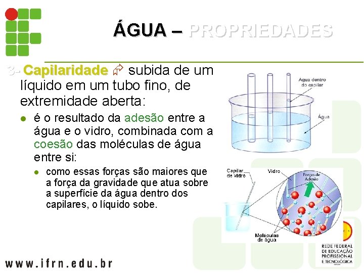 ÁGUA – PROPRIEDADES 3 - 3 - Capilaridade subida de um Capilaridade líquido em