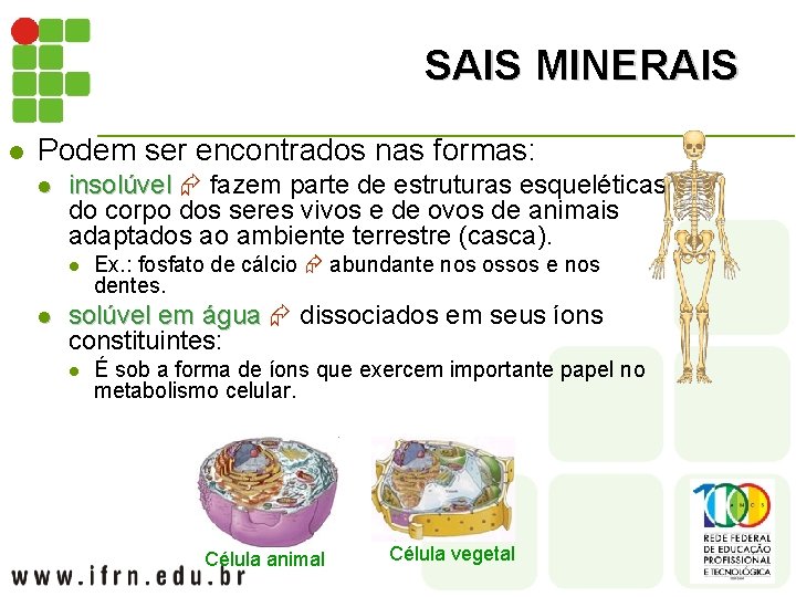 SAIS MINERAIS l Podem ser encontrados nas formas: l insolúvel fazem parte de estruturas