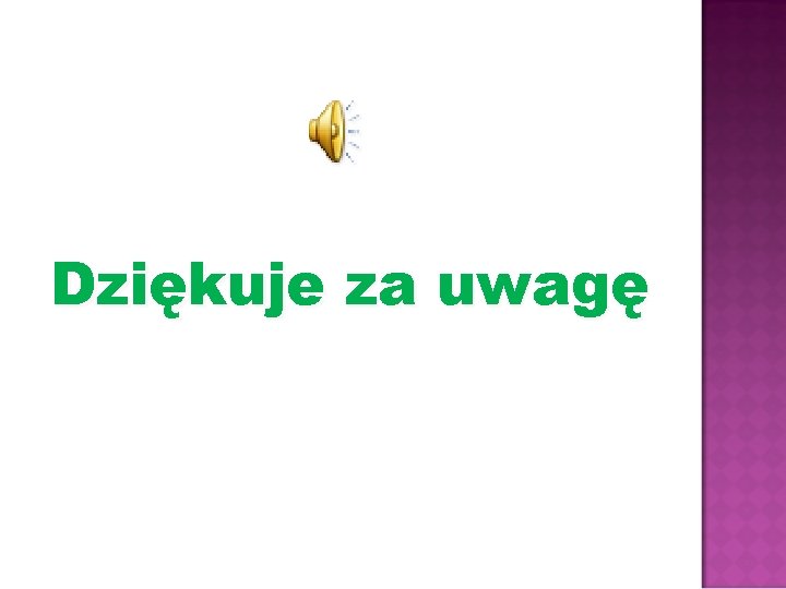 Dziękuje za uwagę 