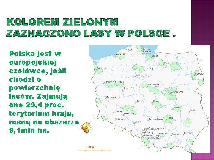 KOLOREM ZIELONYM ZAZNACZONO LASY W POLSCE. Polska jest w europejskiej czołówce, jeśli chodzi o