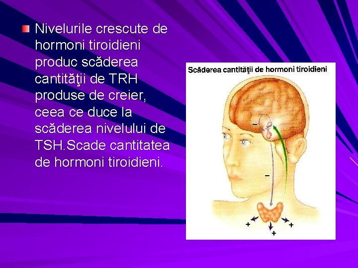 Nivelurile crescute de hormoni tiroidieni produc scăderea cantităţii de TRH produse de creier, ceea