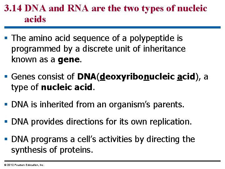 3. 14 DNA and RNA are the two types of nucleic acids § The