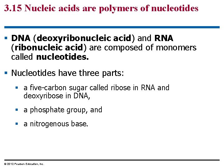 3. 15 Nucleic acids are polymers of nucleotides § DNA (deoxyribonucleic acid) and RNA
