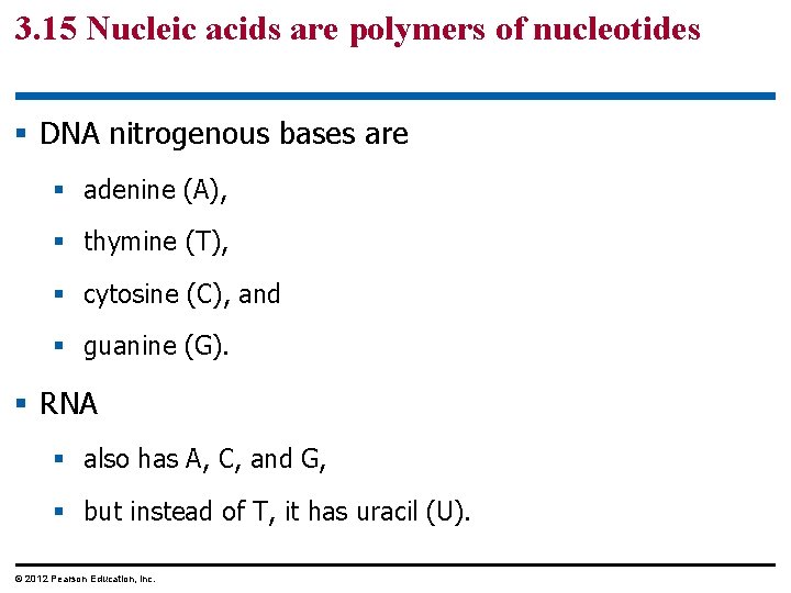 3. 15 Nucleic acids are polymers of nucleotides § DNA nitrogenous bases are §