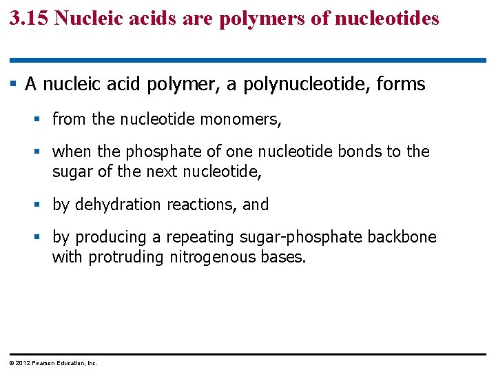 3. 15 Nucleic acids are polymers of nucleotides § A nucleic acid polymer, a