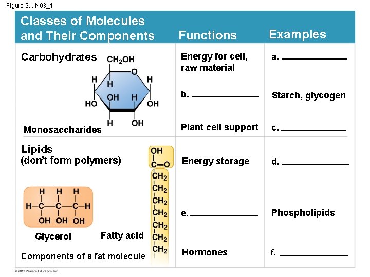 Figure 3. UN 03_1 Classes of Molecules and Their Components Carbohydrates Monosaccharides Functions Examples