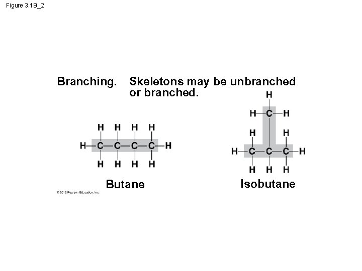 Figure 3. 1 B_2 Branching. Skeletons may be unbranched or branched. Butane Isobutane 