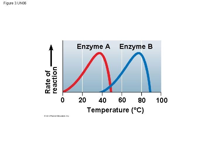 Figure 3. UN 06 Enzyme B Rate of reaction Enzyme A 0 20 60
