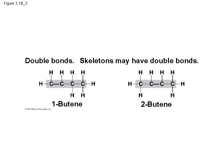 Figure 3. 1 B_3 Double bonds. Skeletons may have double bonds. 1 -Butene 2
