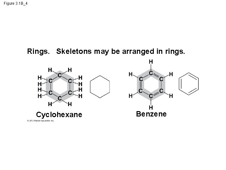 Figure 3. 1 B_4 Rings. Skeletons may be arranged in rings. Cyclohexane Benzene 
