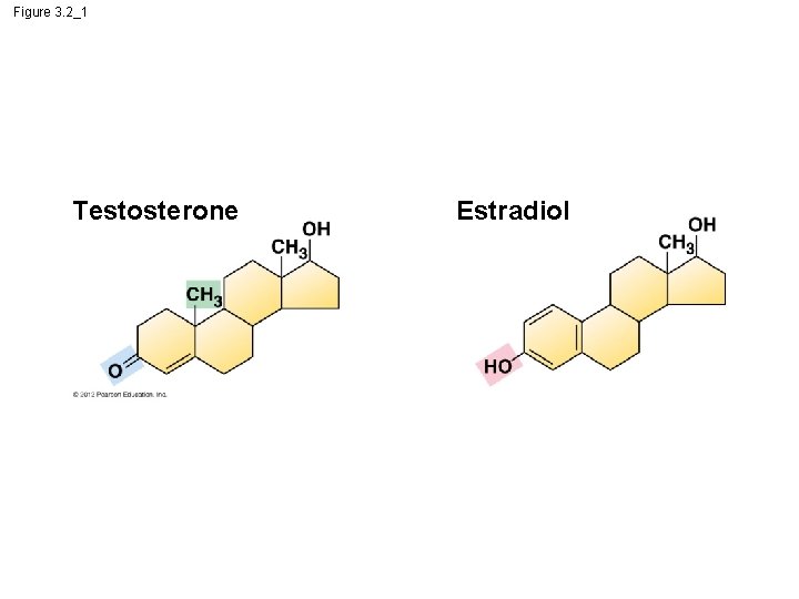 Figure 3. 2_1 Testosterone Estradiol 