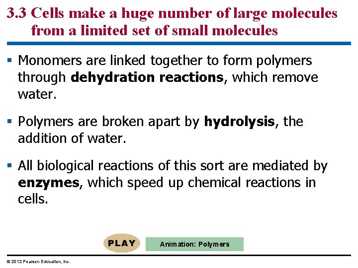 3. 3 Cells make a huge number of large molecules from a limited set