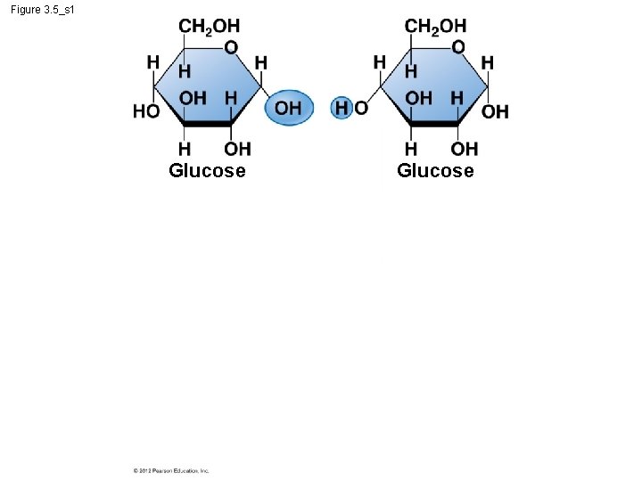 Figure 3. 5_s 1 Glucose 