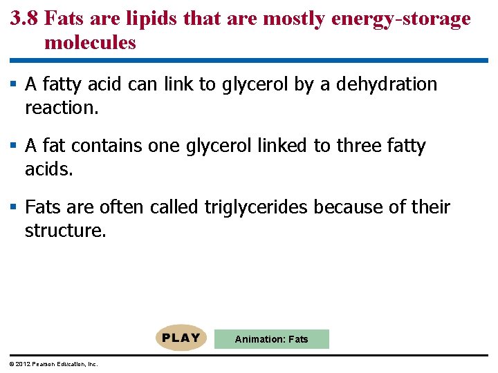 3. 8 Fats are lipids that are mostly energy-storage molecules § A fatty acid