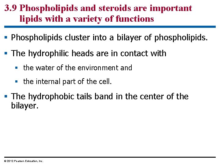 3. 9 Phospholipids and steroids are important lipids with a variety of functions §