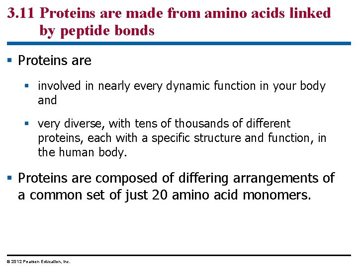 3. 11 Proteins are made from amino acids linked by peptide bonds § Proteins