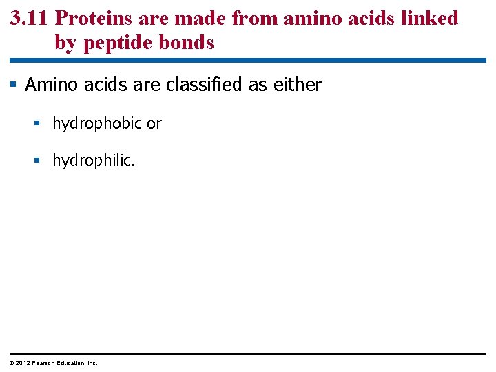 3. 11 Proteins are made from amino acids linked by peptide bonds § Amino