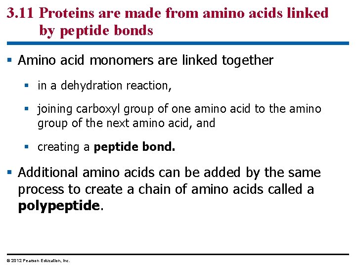 3. 11 Proteins are made from amino acids linked by peptide bonds § Amino