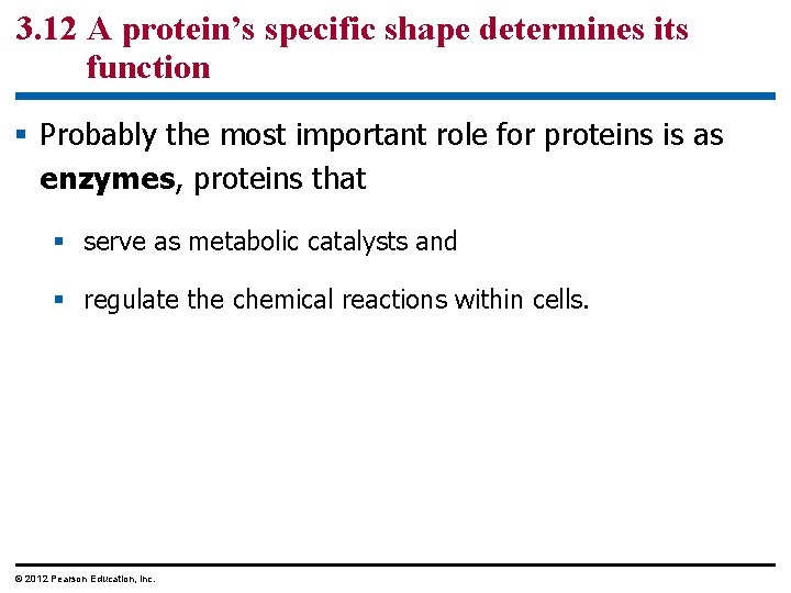 3. 12 A protein’s specific shape determines its function § Probably the most important