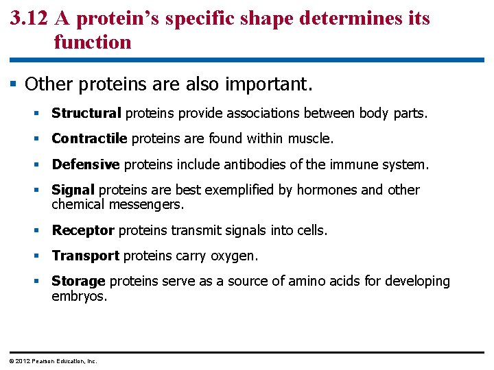 3. 12 A protein’s specific shape determines its function § Other proteins are also