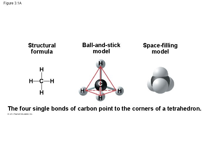 Figure 3. 1 A Structural formula Ball-and-stick model Space-filling model The four single bonds