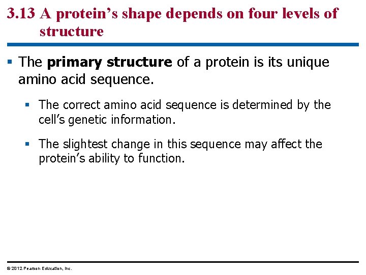 3. 13 A protein’s shape depends on four levels of structure § The primary