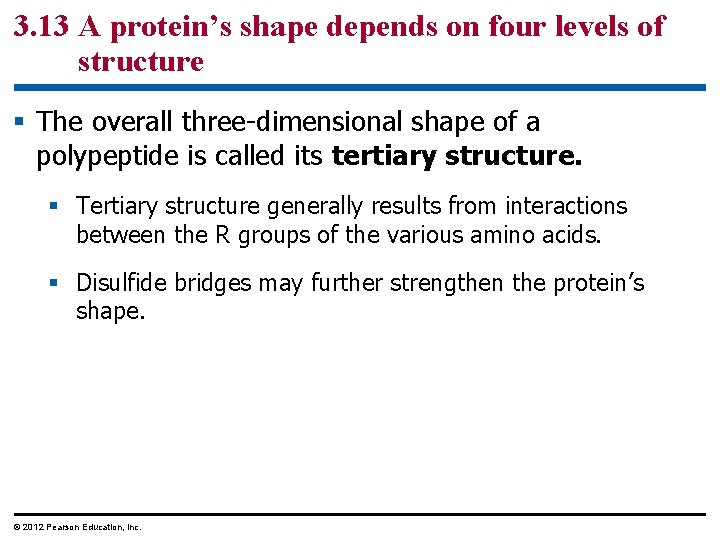 3. 13 A protein’s shape depends on four levels of structure § The overall