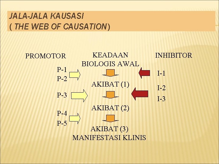 JALA-JALA KAUSASI ( THE WEB OF CAUSATION) PROMOTOR P-1 P-2 KEADAAN BIOLOGIS AWAL I-1