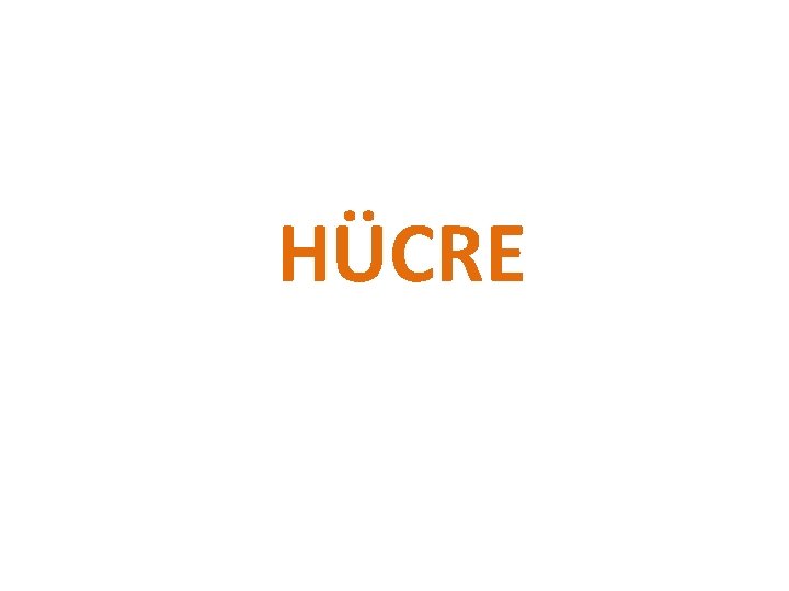 HÜCRE 