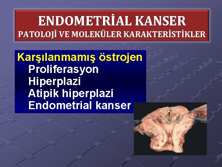 ENDOMETRİAL KANSER PATOLOJİ VE MOLEKÜLER KARAKTERİSTİKLER Karşılanmamış östrojen Proliferasyon Hiperplazi Atipik hiperplazi Endometrial kanser