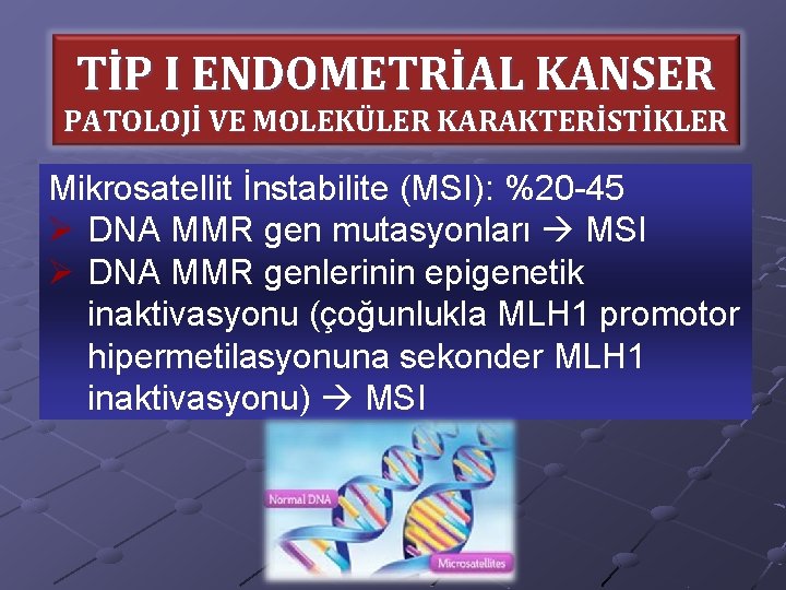 TİP I ENDOMETRİAL KANSER PATOLOJİ VE MOLEKÜLER KARAKTERİSTİKLER Mikrosatellit İnstabilite (MSI): %20 -45 Ø