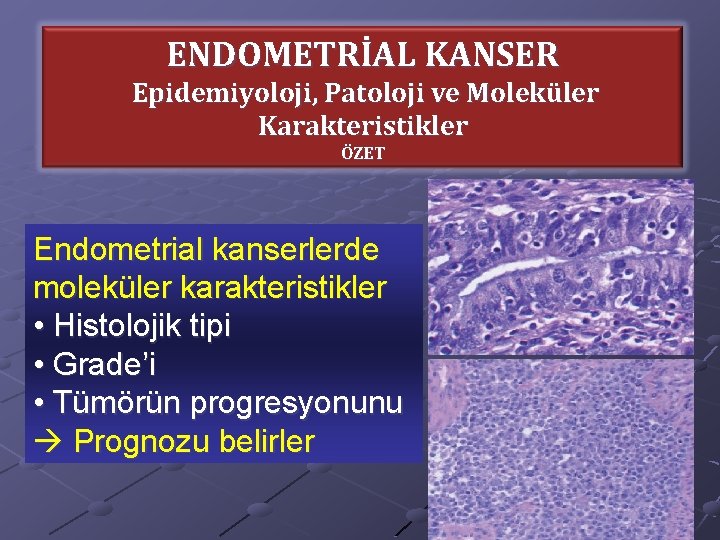 ENDOMETRİAL KANSER Epidemiyoloji, Patoloji ve Moleküler Karakteristikler ÖZET Endometrial kanserlerde moleküler karakteristikler • Histolojik