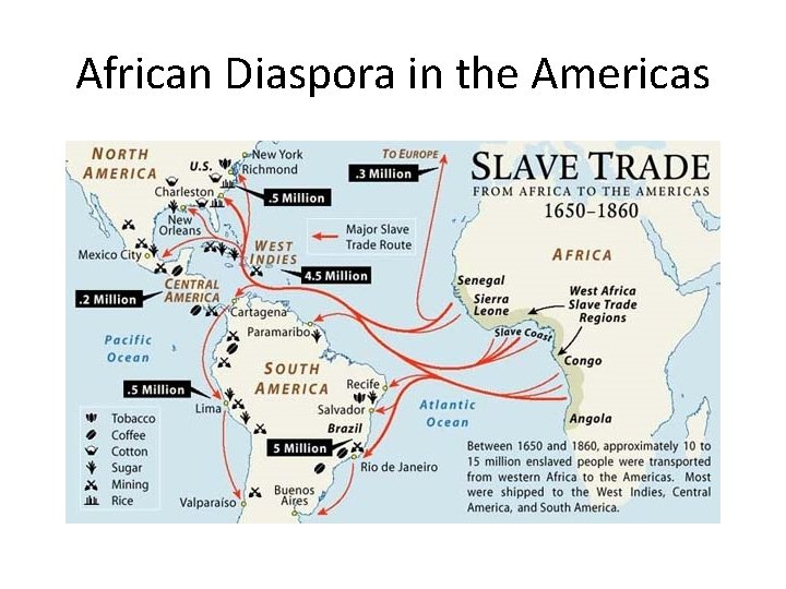 African Diaspora in the Americas 