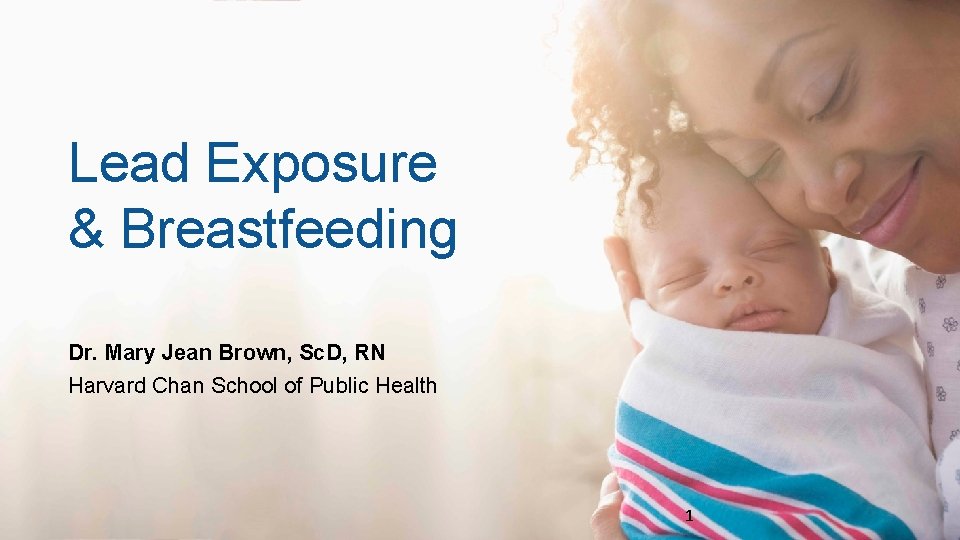 Lead Exposure & Breastfeeding Dr. Mary Jean Brown, Sc. D, RN Harvard Chan School