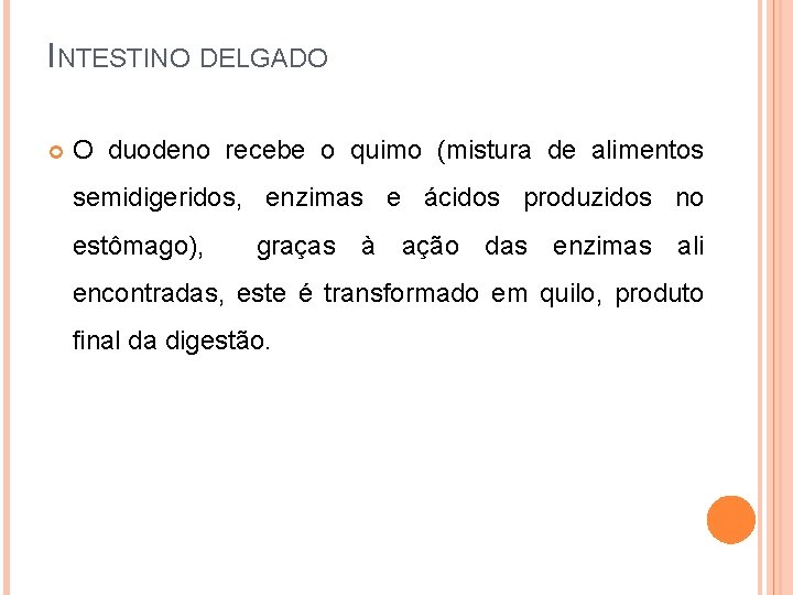 INTESTINO DELGADO O duodeno recebe o quimo (mistura de alimentos semidigeridos, enzimas e ácidos