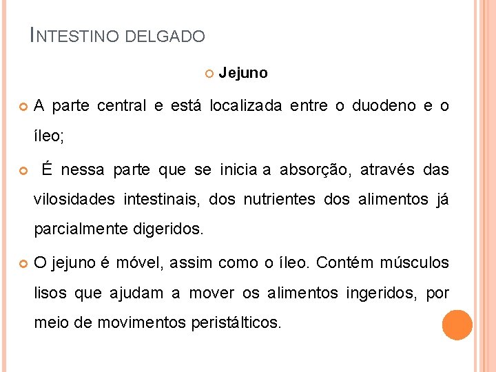 INTESTINO DELGADO Jejuno A parte central e está localizada entre o duodeno e o