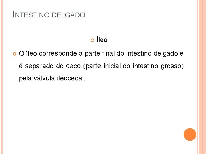 INTESTINO DELGADO Íleo O íleo corresponde à parte final do intestino delgado e é