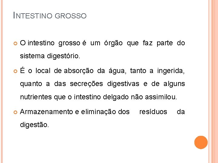 INTESTINO GROSSO O intestino grosso é um órgão que faz parte do sistema digestório.