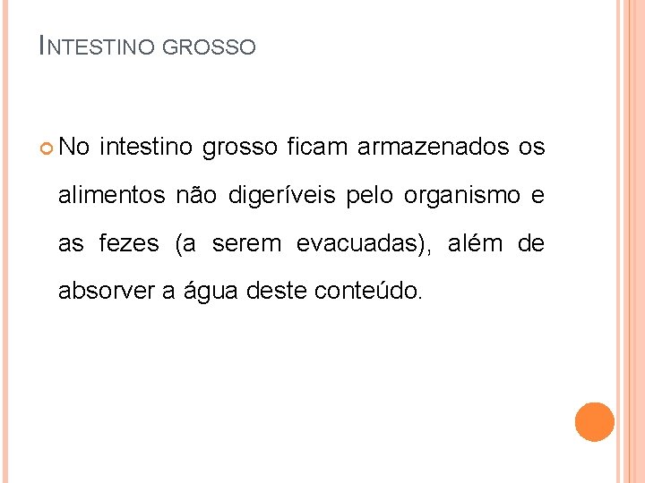 INTESTINO GROSSO No intestino grosso ficam armazenados os alimentos não digeríveis pelo organismo e