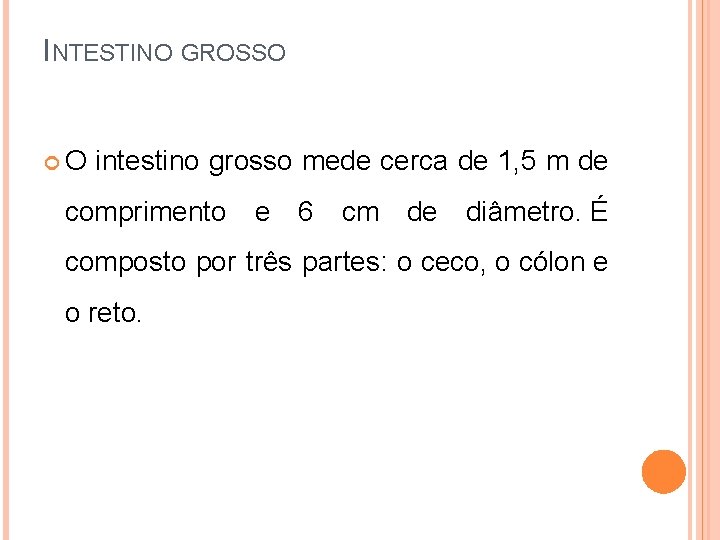 INTESTINO GROSSO O intestino grosso mede cerca de 1, 5 m de comprimento e