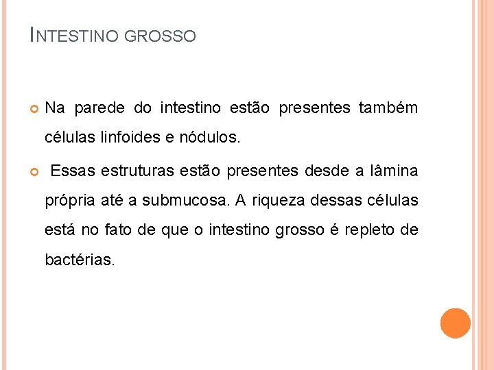 INTESTINO GROSSO Na parede do intestino estão presentes também células linfoides e nódulos. Essas