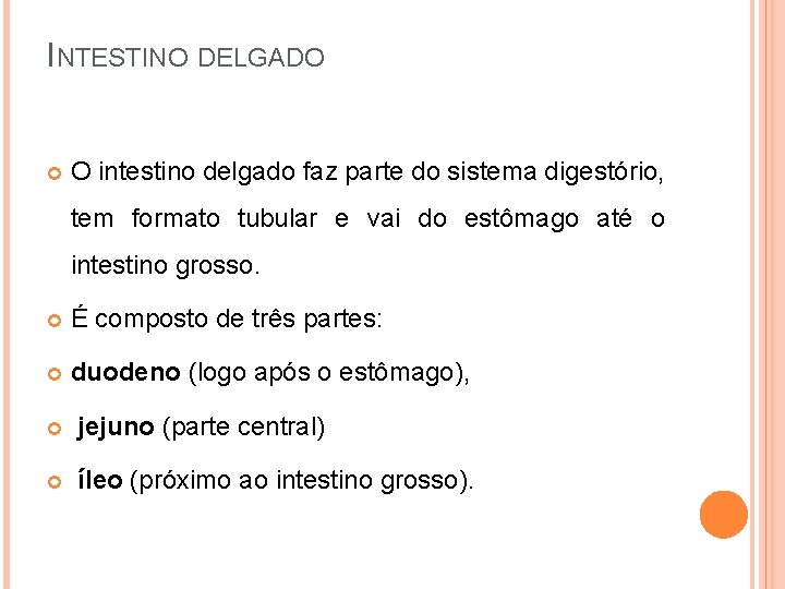 INTESTINO DELGADO O intestino delgado faz parte do sistema digestório, tem formato tubular e