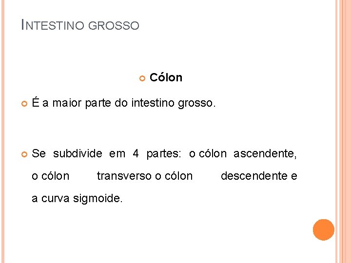 INTESTINO GROSSO Cólon É a maior parte do intestino grosso. Se subdivide em 4