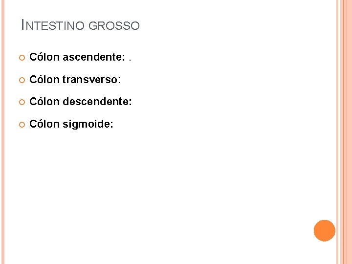 INTESTINO GROSSO Cólon ascendente: . Cólon transverso: Cólon descendente: Cólon sigmoide: 