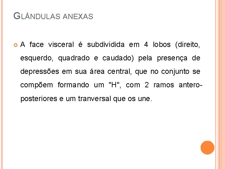 GL NDULAS ANEXAS A face visceral é subdividida em 4 lobos (direito, esquerdo, quadrado