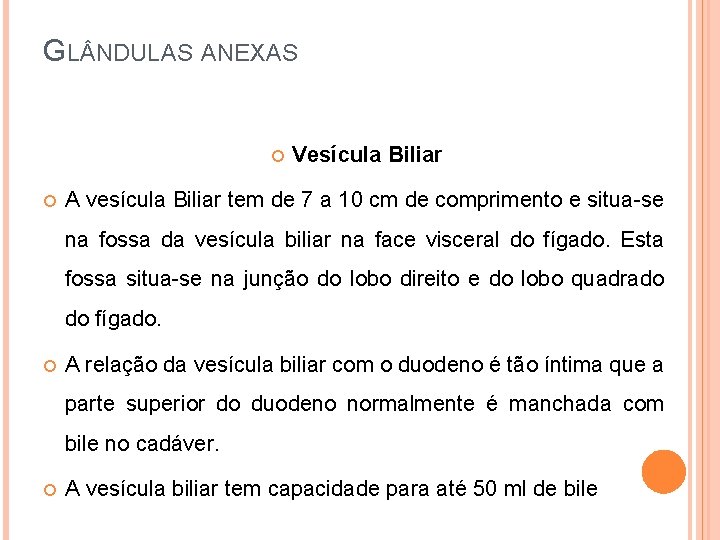 GL NDULAS ANEXAS Vesícula Biliar A vesícula Biliar tem de 7 a 10 cm